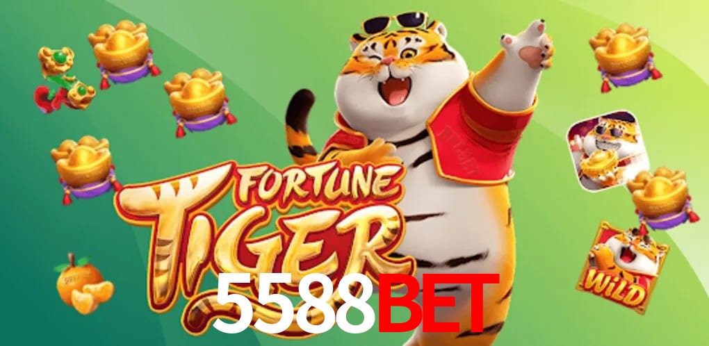 Statistics 5588bet